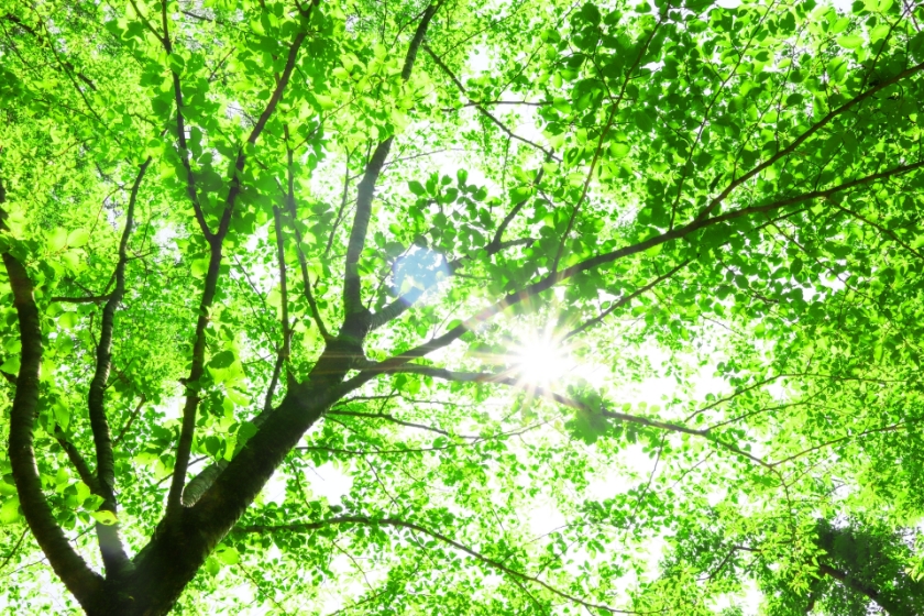 イメージ画像：永続的な供養の場の確保