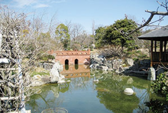 イメージ画像：松山市01