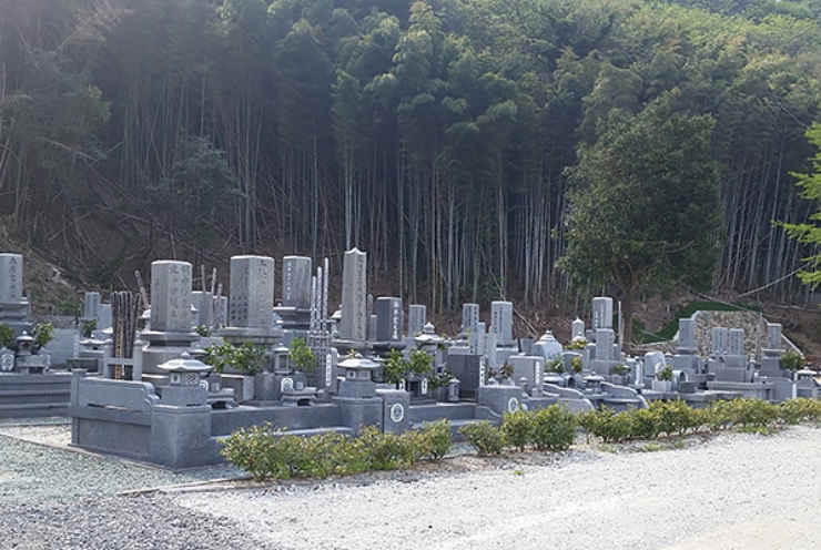 イメージ画像：松山市近郊01